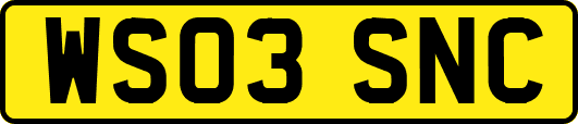 WS03SNC