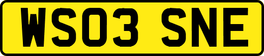 WS03SNE