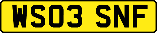 WS03SNF
