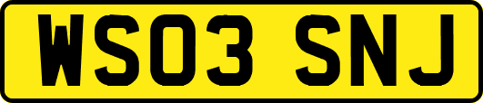 WS03SNJ