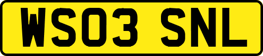 WS03SNL