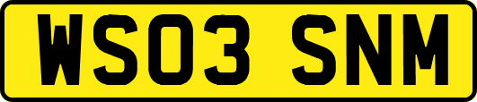 WS03SNM