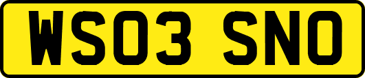 WS03SNO