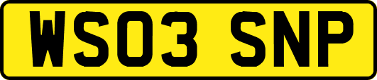 WS03SNP