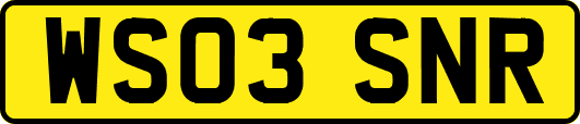WS03SNR