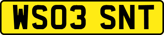 WS03SNT