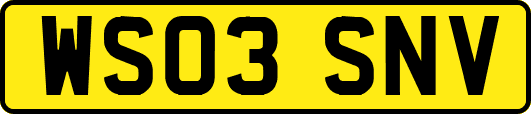 WS03SNV