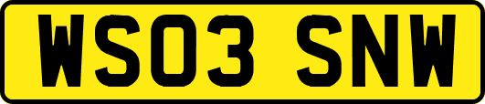 WS03SNW