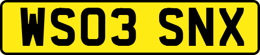 WS03SNX