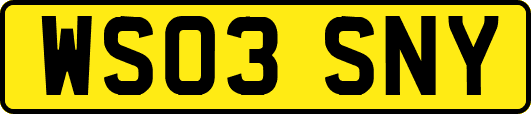 WS03SNY