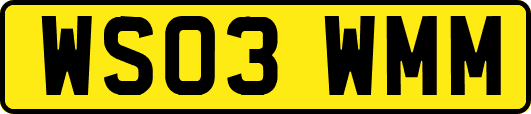 WS03WMM