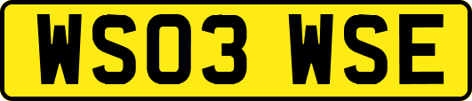 WS03WSE
