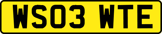 WS03WTE
