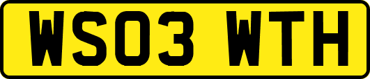 WS03WTH