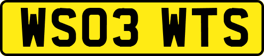 WS03WTS