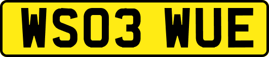 WS03WUE