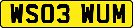 WS03WUM