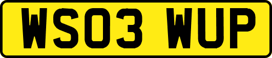 WS03WUP