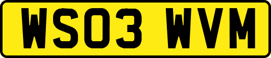 WS03WVM