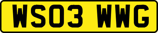 WS03WWG