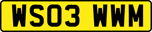 WS03WWM