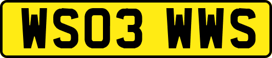 WS03WWS