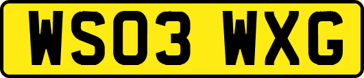 WS03WXG