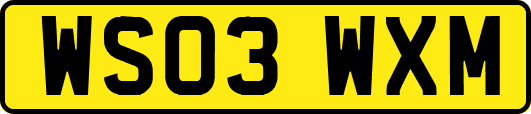 WS03WXM