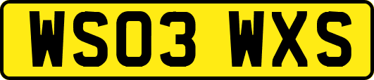 WS03WXS
