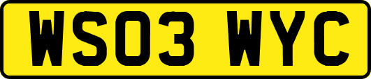 WS03WYC