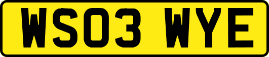 WS03WYE