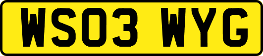 WS03WYG