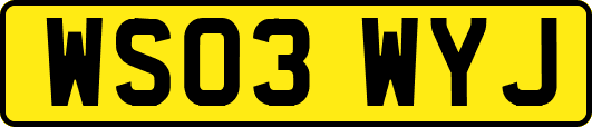WS03WYJ