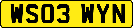 WS03WYN