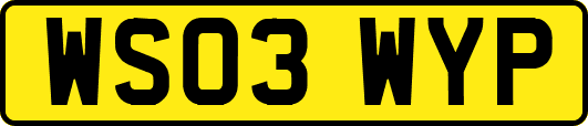 WS03WYP