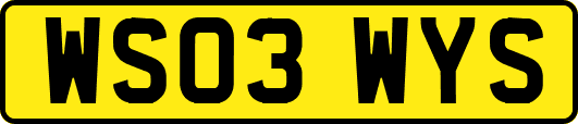 WS03WYS
