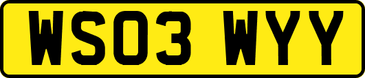 WS03WYY