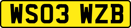 WS03WZB