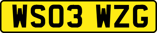 WS03WZG