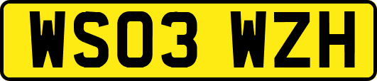 WS03WZH