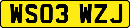WS03WZJ