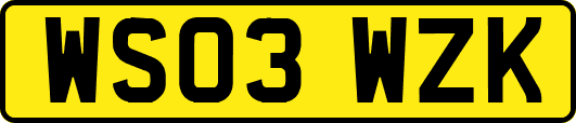WS03WZK