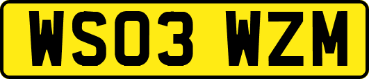 WS03WZM