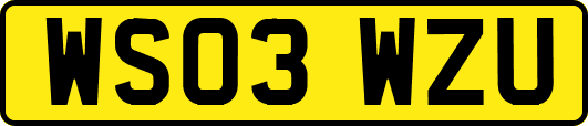 WS03WZU