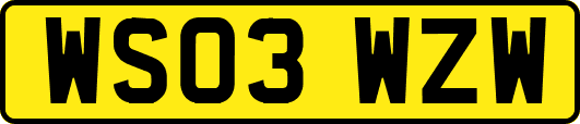 WS03WZW