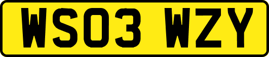 WS03WZY