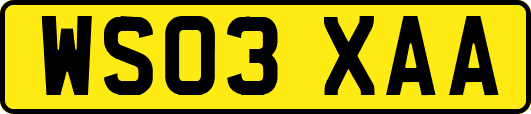 WS03XAA