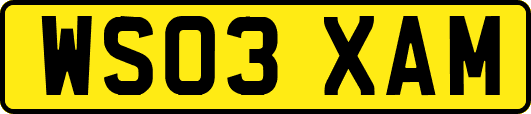 WS03XAM
