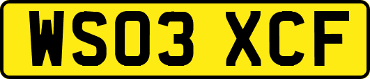 WS03XCF