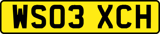 WS03XCH